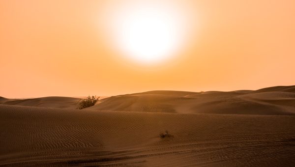 Cod roșu de caniculă în România: temperaturi de până la 41°C și recorduri doborâte. Cum te protejezi